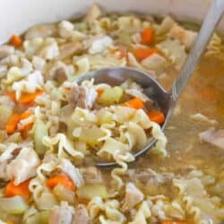 ladle scooping a serving of chicken noodle soup