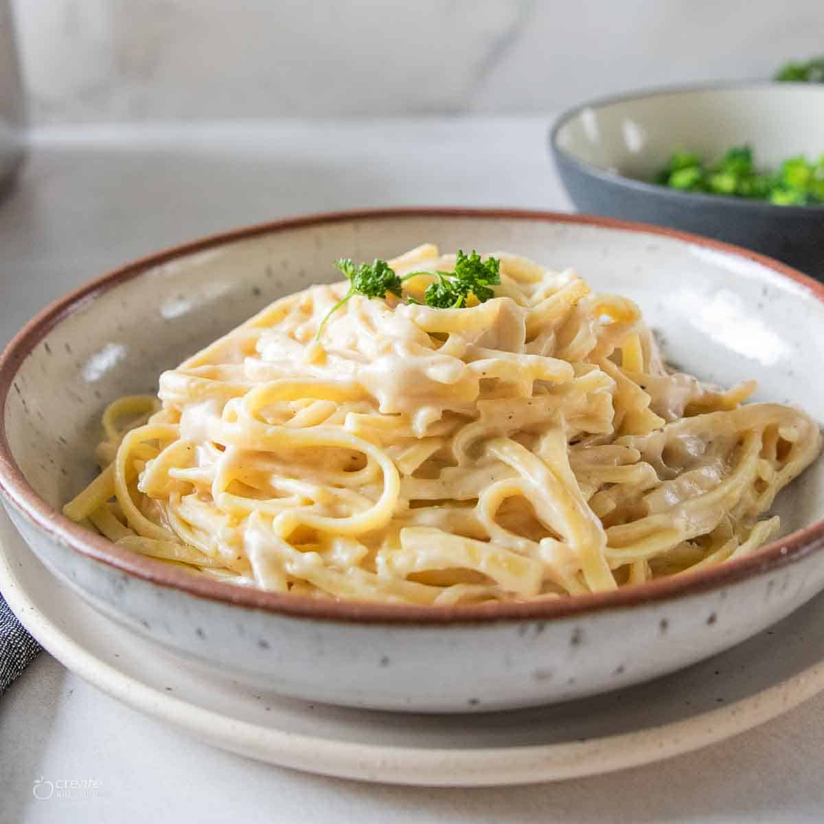 side view of alfredo in bowl