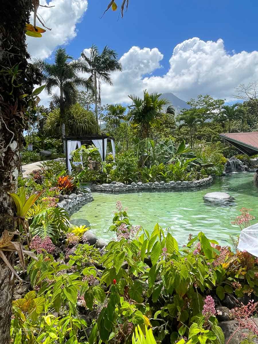 Clear hot spring pool surrounded by lots of plants and trees with a volcano in the background.