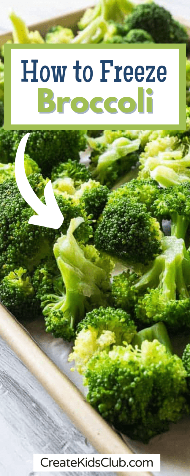 Pinterest image of how to freeze broccoli