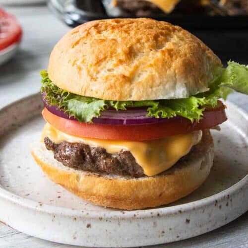 gluten free cheeseburger with tomato, onion and lettuce on bun