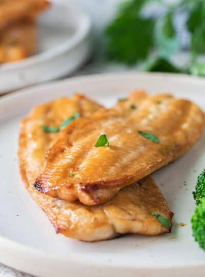 broiled fish on plate