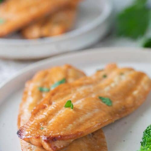 two salmon filets on a plate