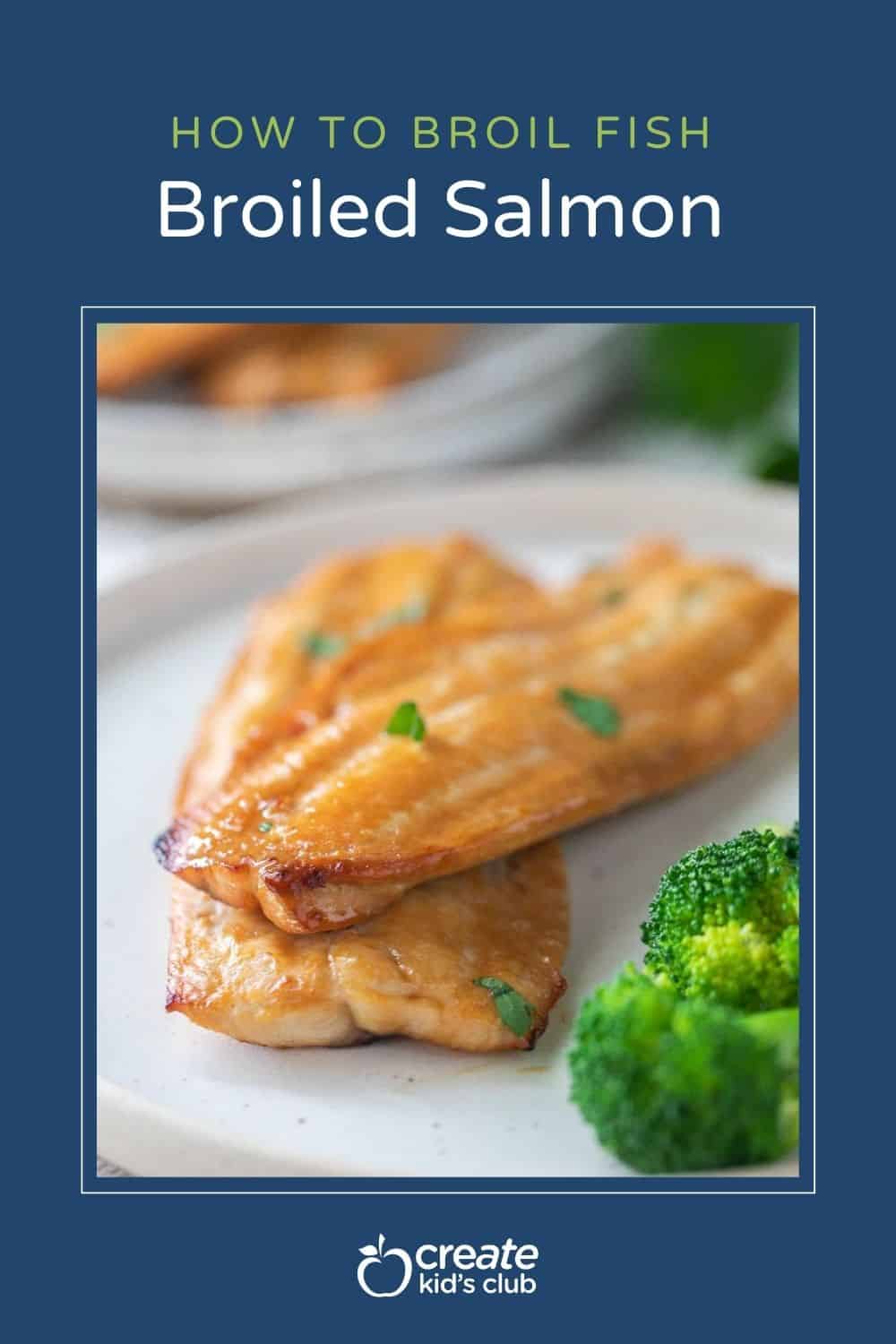 A Pin of broiled salmon on a plate.