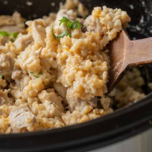spoon in crockpot chicken and rice
