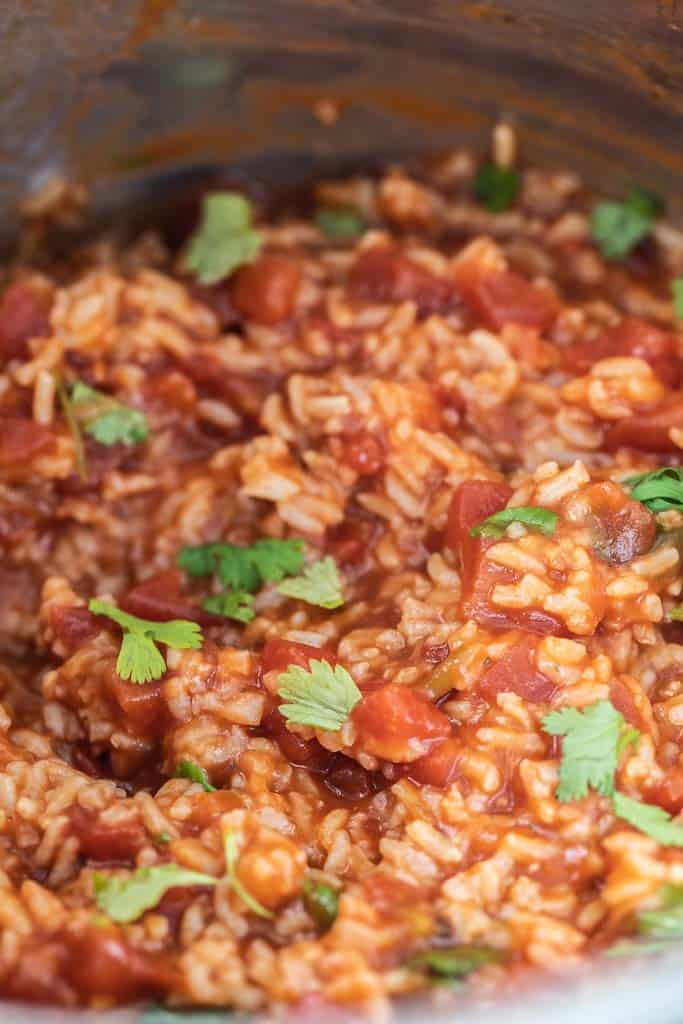 close up view of Mexican rice