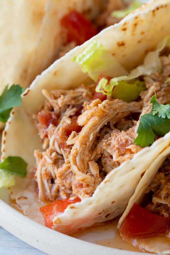 close up view of shredded chicken tacos