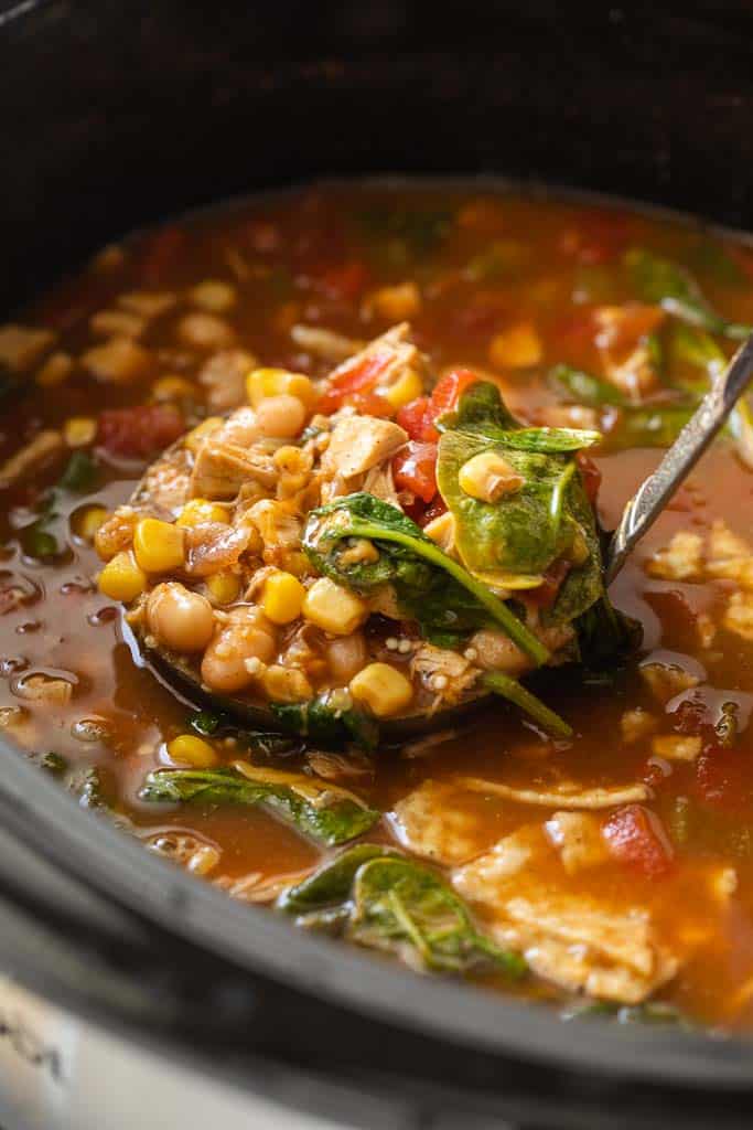 ladle scooping chicken soup from crockpot