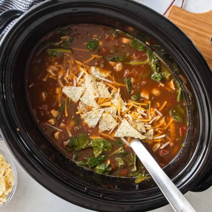 https://www.createkidsclub.com/wp-content/uploads/2023/04/crockpot-chicken-tortilla-soup-8-735x735.jpg