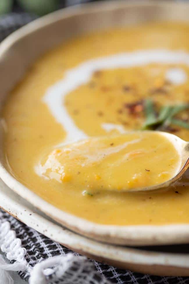 creamy squash soup in bowl