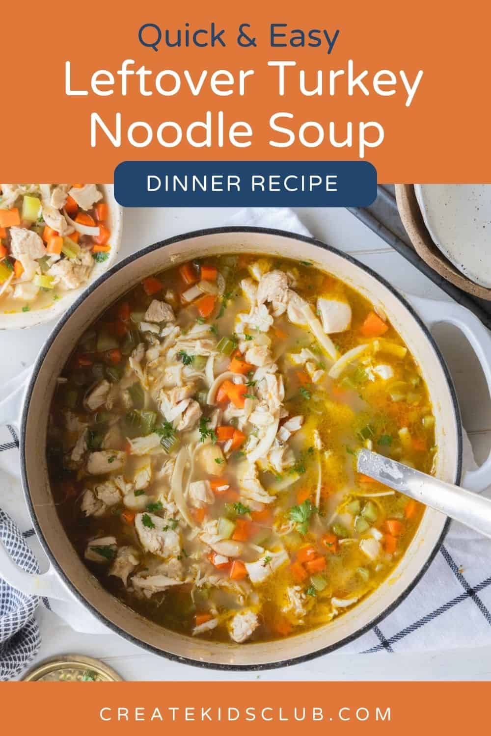 pin of turkey noodle soup