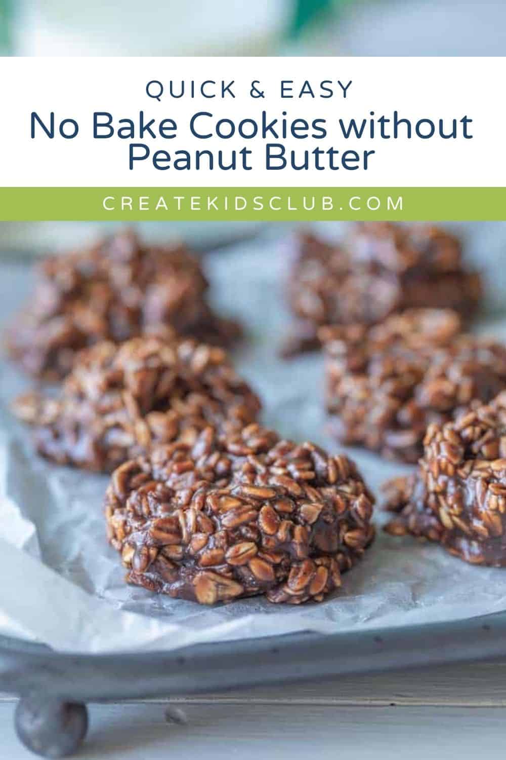 pin of No Bake Cookie without Peanut Butter