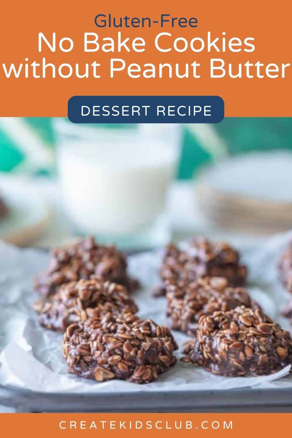 pin of No Bake Cookie without Peanut Butter