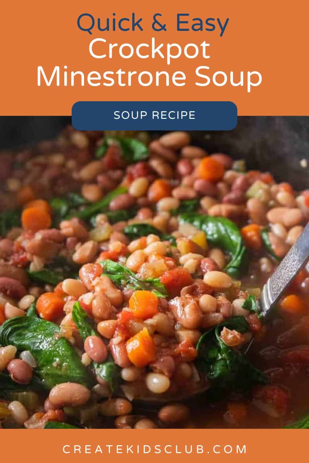 pin of minestrone soup