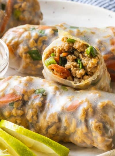 chicken summer rolls on a plate