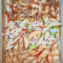 top down shot of apple nachos made three ways